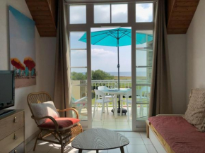 Apt 4 pers. vue mer plein sud